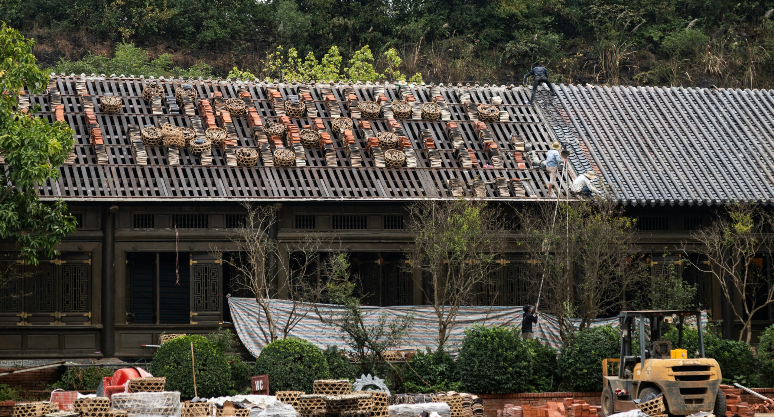 bernd-dittrich-rxo2XzVk2KA-unsplash.jpg